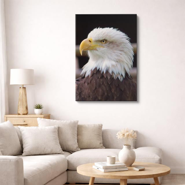 cuadro canvas aves espíritu del águila vertical