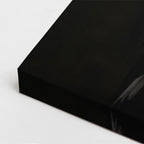 cuadro canvas aves sombra del cazador vertical