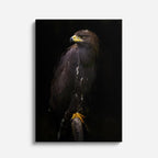 cuadro canvas aves sombra del cazador vertical