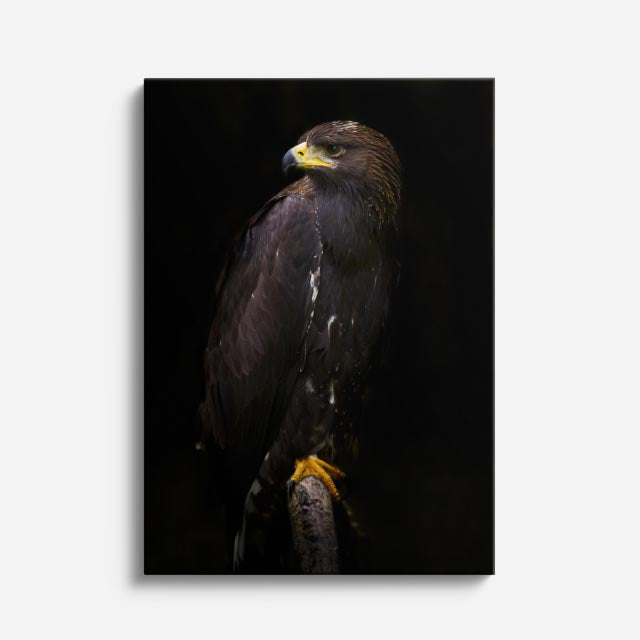 cuadro canvas aves sombra del cazador vertical