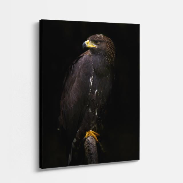 cuadro canvas aves sombra del cazador vertical