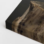 cuadro canvas aves trono de plumas vertical