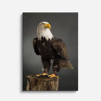cuadro canvas aves trono de plumas vertical