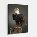 cuadro canvas aves trono de plumas vertical