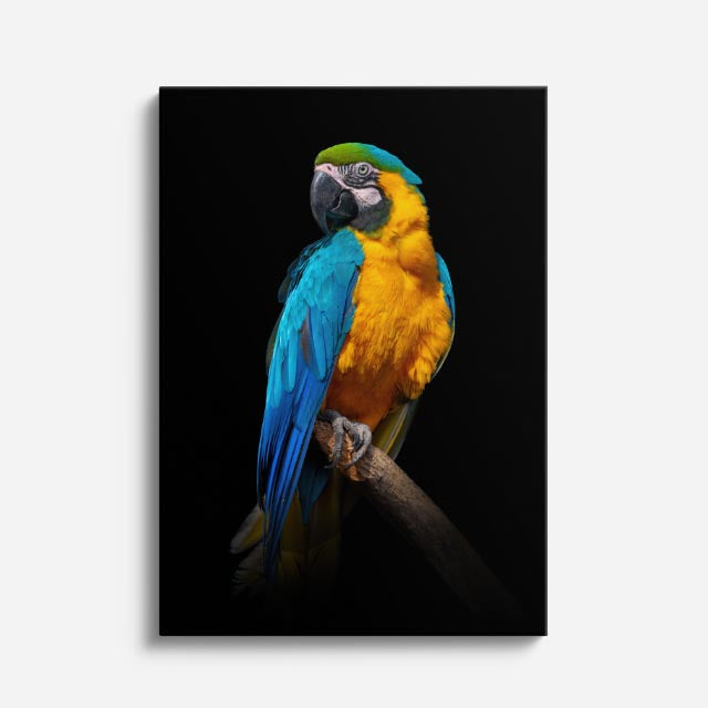 cuadro canvas aves azul tropical vertical