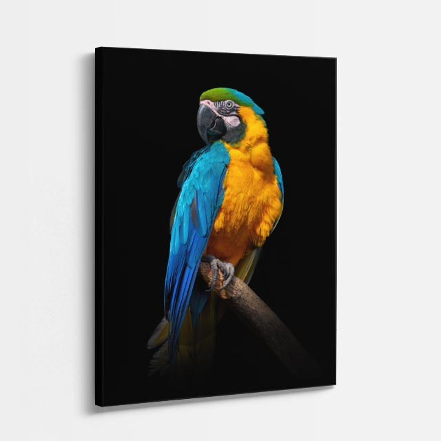 cuadro canvas aves azul tropical vertical
