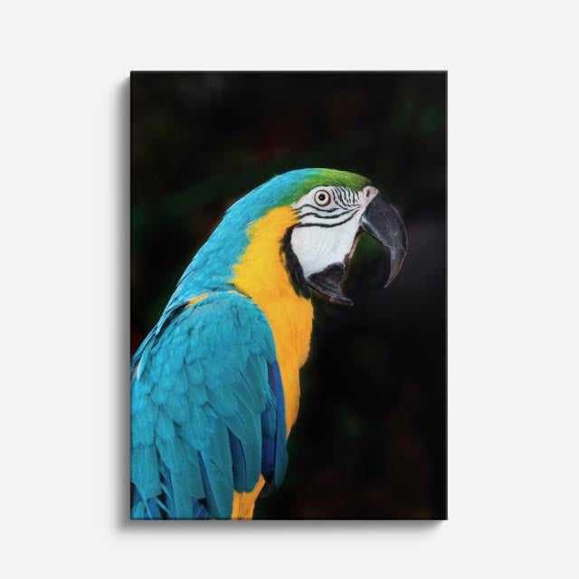 cuadro canvas aves esmeralda tropical vertical