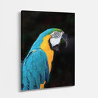 cuadro canvas aves esmeralda tropical vertical