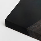 cuadro canvas aves plumas del caribe vertical