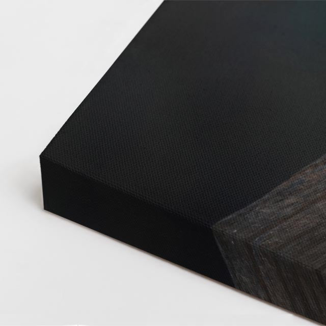 cuadro canvas aves plumas del caribe vertical