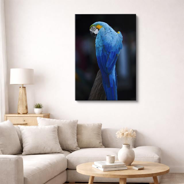 cuadro canvas aves plumas del caribe vertical