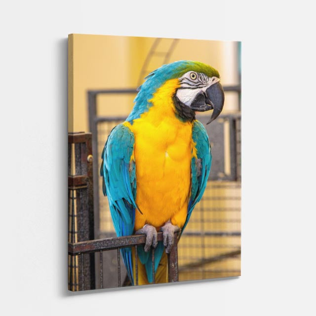 cuadro canvas aves guardián del bosque vertical