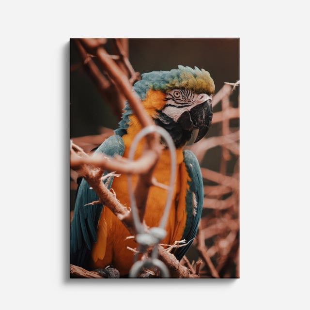 cuadro canvas aves susurro del trópico vertical