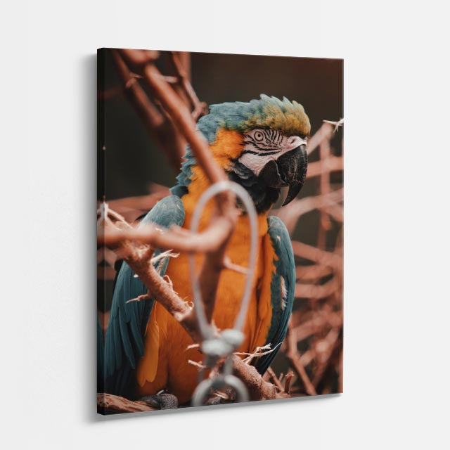 cuadro canvas aves susurro del trópico vertical