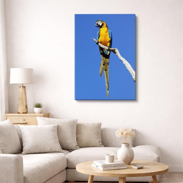 cuadro canvas aves eco de la selva vertical