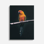 cuadro canvas aves llama del atardecer vertical