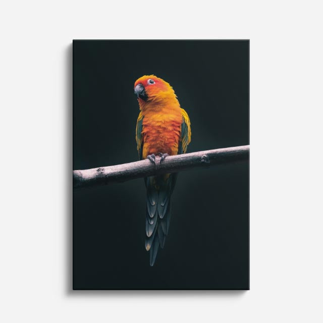 cuadro canvas aves llama del atardecer vertical