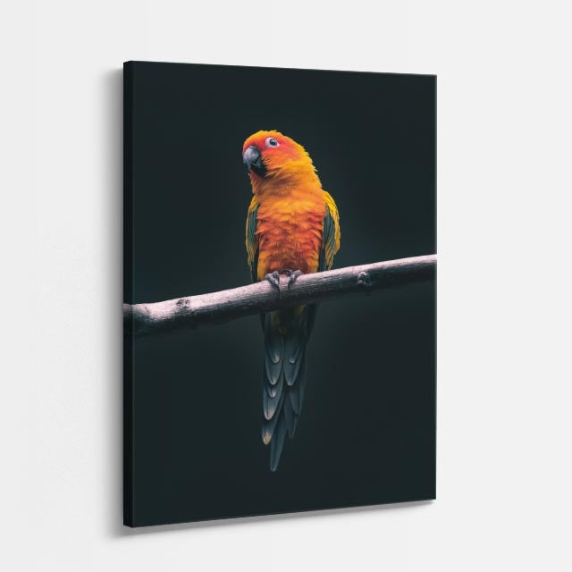 cuadro canvas aves llama del atardecer vertical