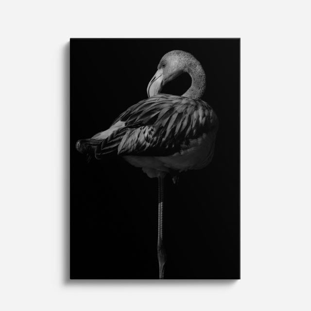 cuadro canvas aves elegancia nocturna vertical