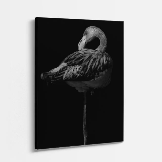 cuadro canvas aves elegancia nocturna vertical