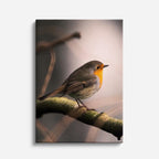 cuadro canvas aves canto del amanecer vertical