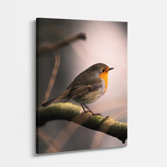 cuadro canvas aves canto del amanecer vertical