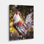 cuadro canvas aves orgullo del corral vertical