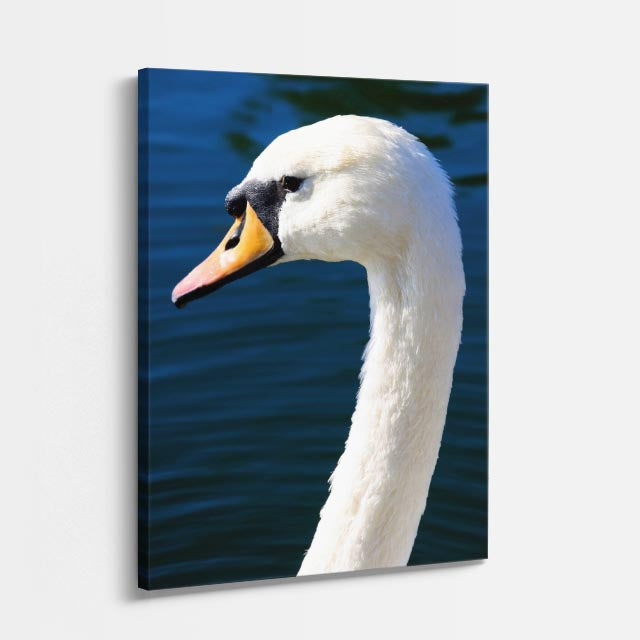 cuadro canvas aves reflejo del lago vertical