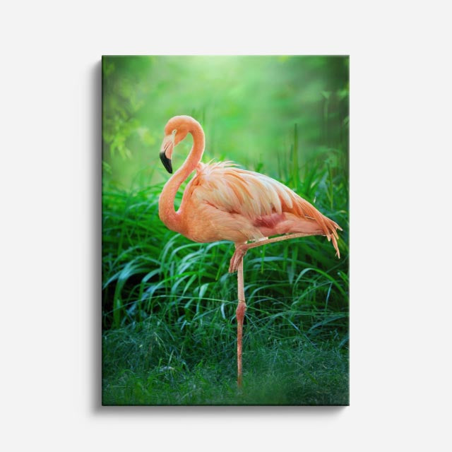 cuadro canvas aves danza del flamenco vertical