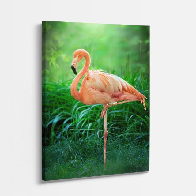 cuadro canvas aves danza del flamenco vertical