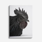 cuadro canvas aves corona oscura vertical