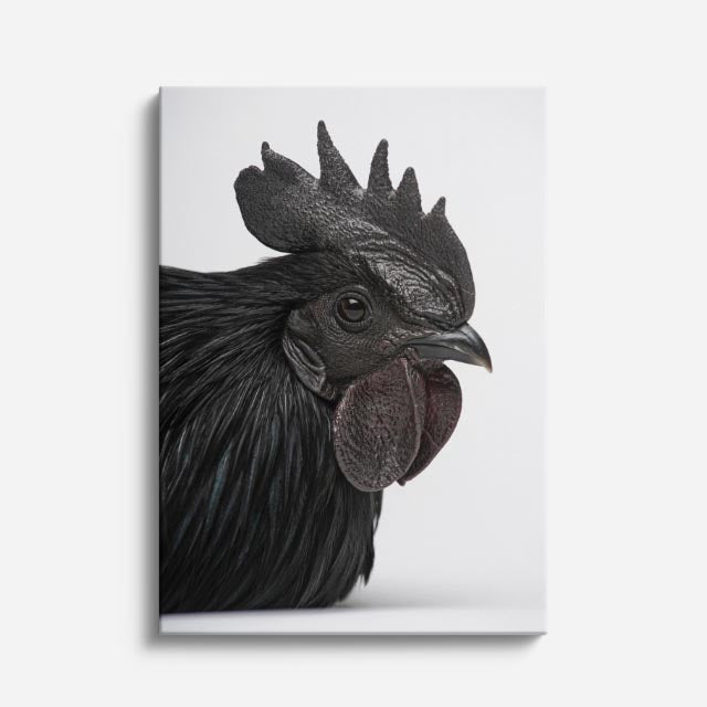 cuadro canvas aves corona oscura vertical