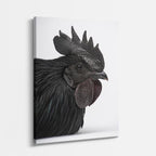 cuadro canvas aves corona oscura vertical