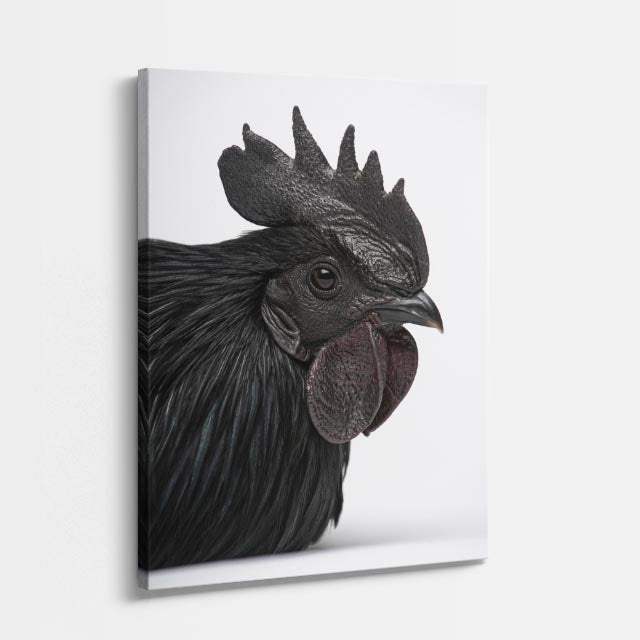 cuadro canvas aves corona oscura vertical