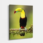 cuadro canvas aves voz de la jungla vertical