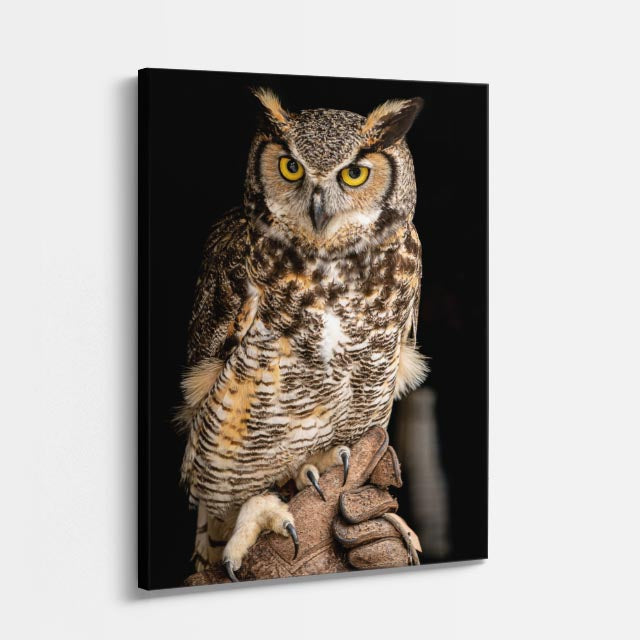 cuadro canvas aves vigía del bosque vertical