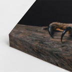 cuadro canvas aves guardia nocturna vertical