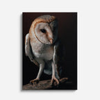 cuadro canvas aves guardia nocturna vertical