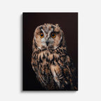cuadro canvas aves sombra del roble vertical