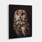 cuadro canvas aves sombra del roble vertical