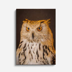 cuadro canvas aves ojos de la noche vertical