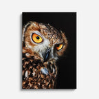 cuadro canvas aves mirada dorada vertical
