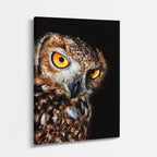 cuadro canvas aves mirada dorada vertical