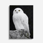cuadro canvas aves reina de la nieve vertical
