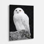 cuadro canvas aves reina de la nieve vertical