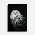 cuadro canvas aves niebla invernal vertical