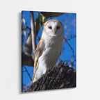 cuadro canvas aves luz del alba vertical