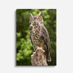 cuadro canvas aves centinela del norte vertical