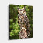cuadro canvas aves centinela del norte vertical