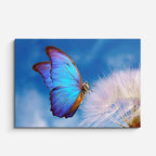 cuadro canvas insectos aurora de mariposa horizontal